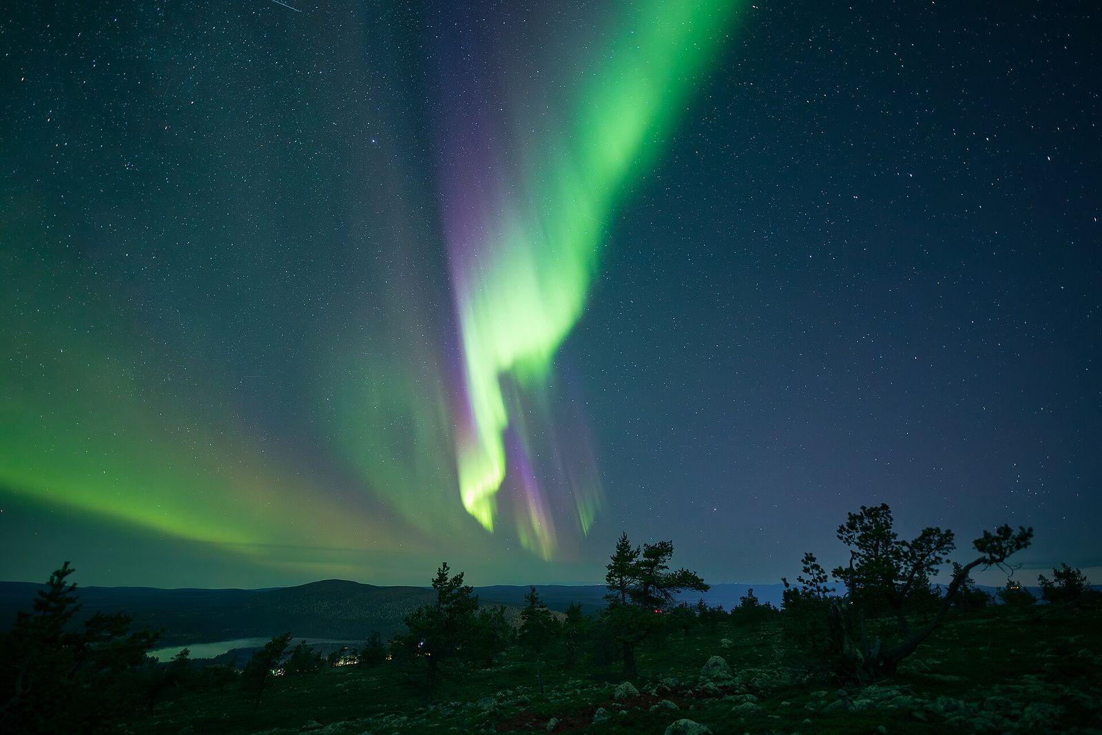 A bright green and purple aurora curtain over a fell and forest in Finnish Lapland