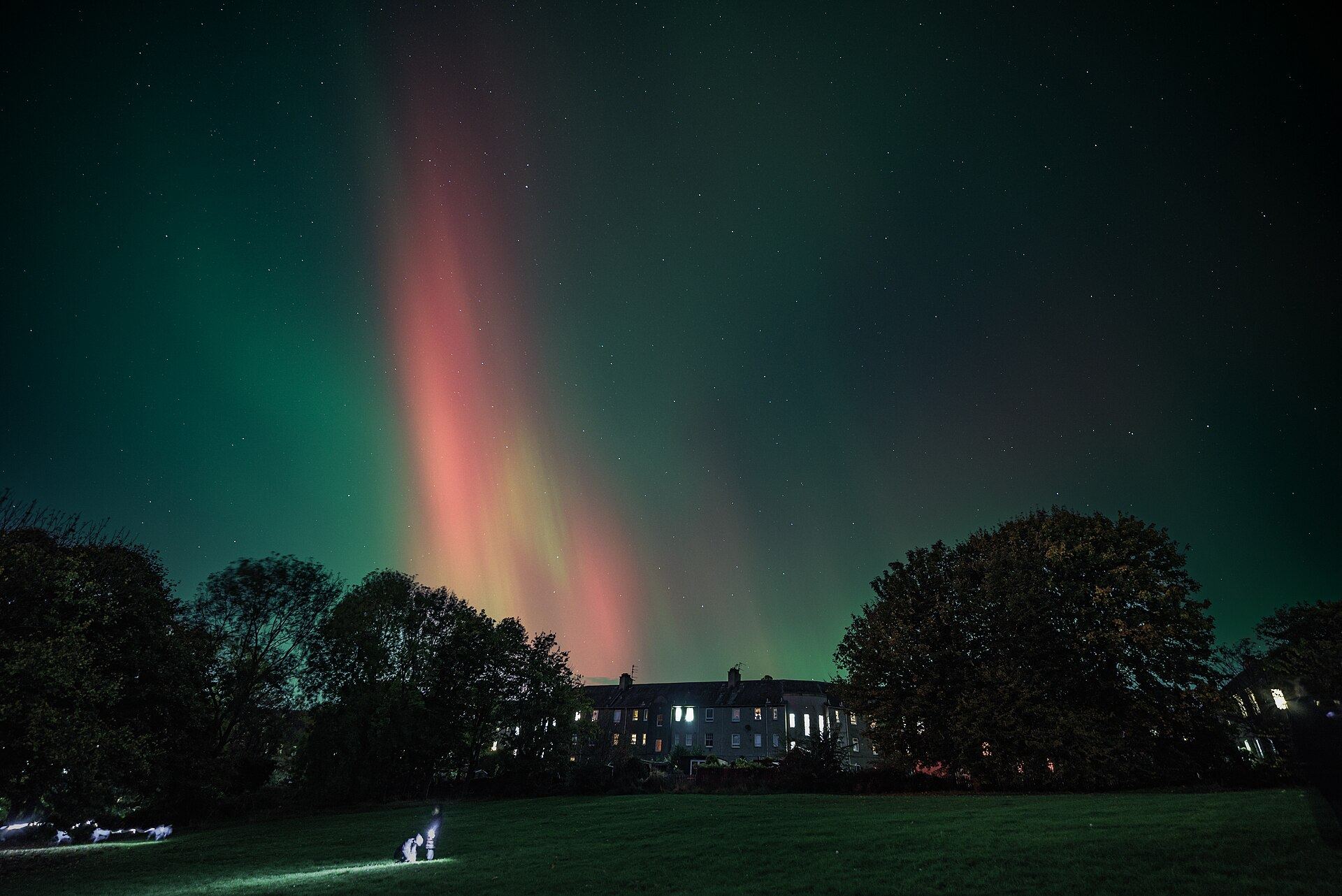 Green and red northern lights rising above trees and a terrace of lit houses in Edinburgh